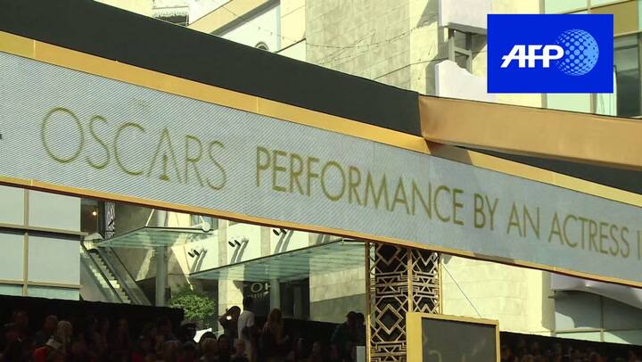 Premios Oscar 2016: mirá lo que pasó en la alfombra roja