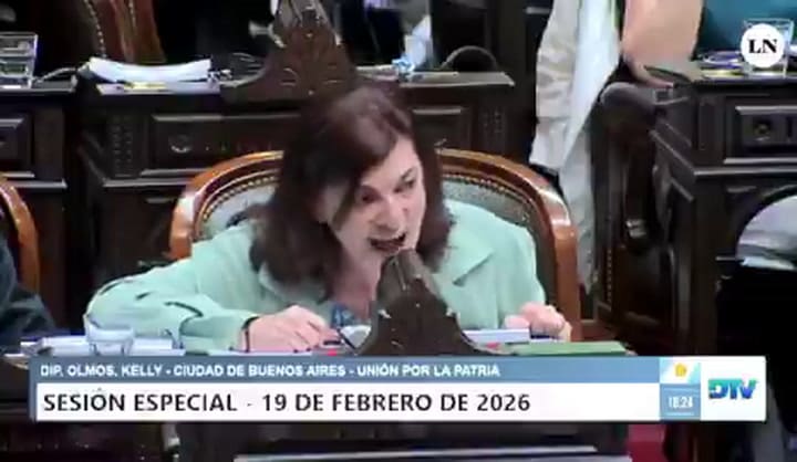 Diputada Olmos Kelly