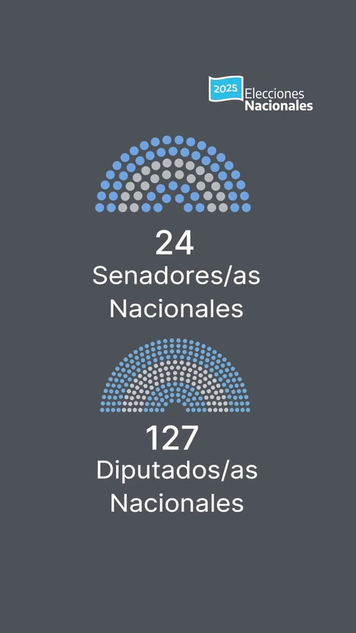 ¿Qué se elige en las elecciones legislativas nacionales 2025?
