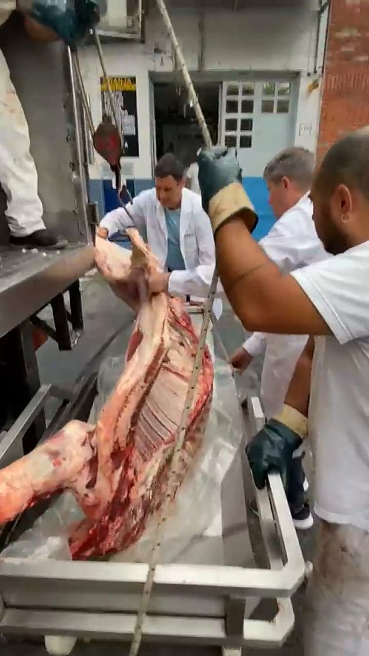 El uso de medios mecánicos para la media res que destaca Camya