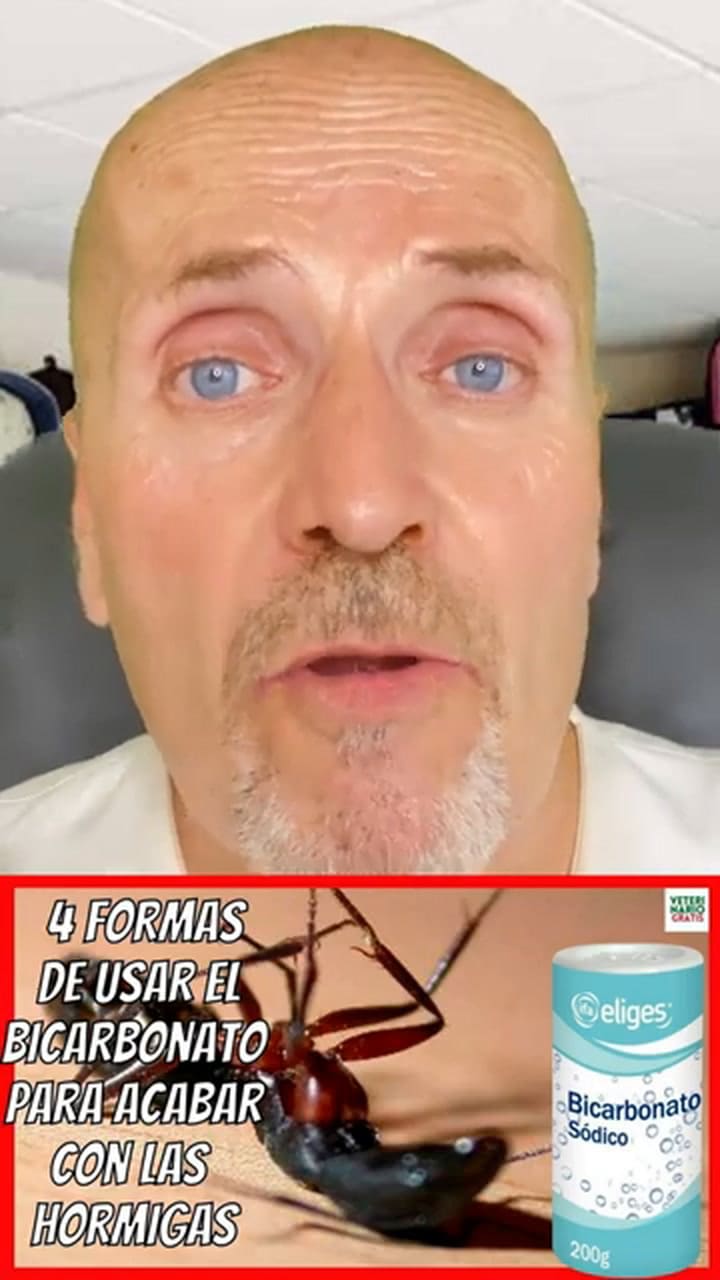 Cómo eliminar las hormigas con bicarbonato de sodio