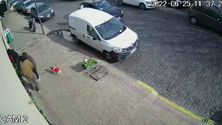 La Plata: una conductora se bajó del auto y le pegó a una peatona