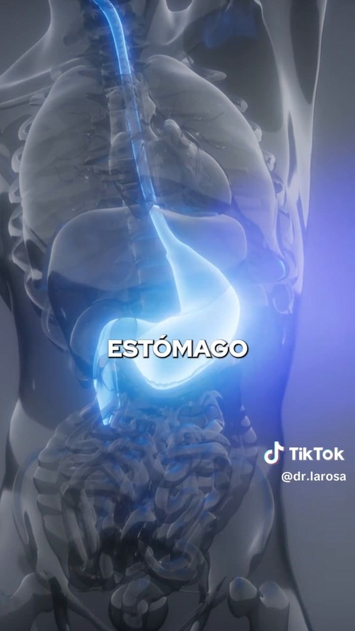 Estos son los alimentos ideales para romper el ayuno intermitente según el Dr. De La Rosa