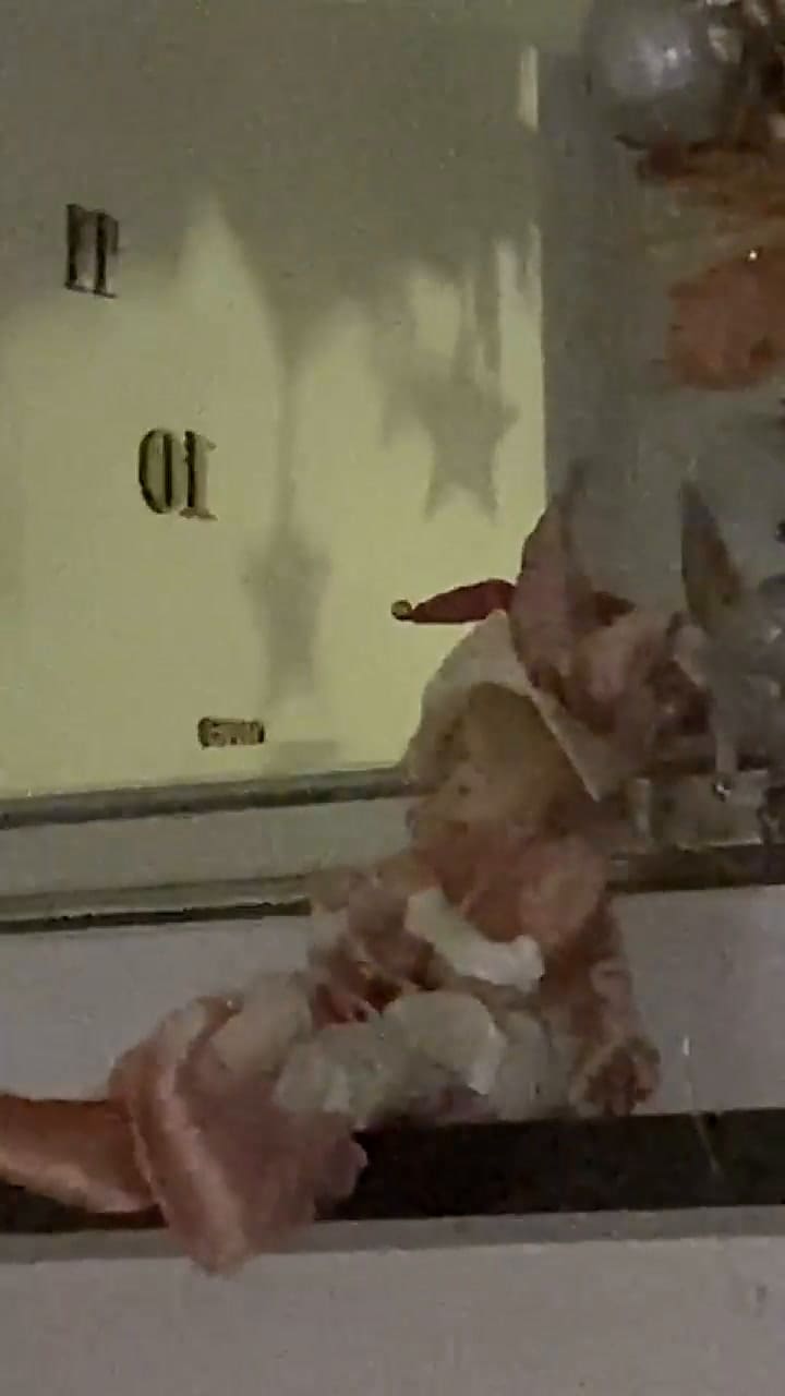 Estaba en su living, un juguete comenzó a moverse solo y mostró la situación con terror