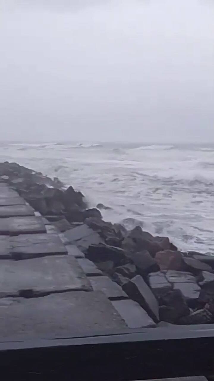Temporariamente em Nekochea