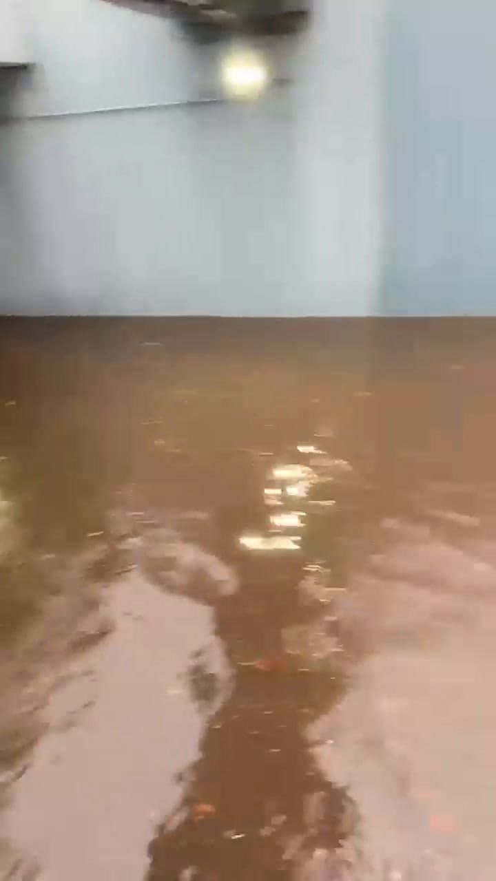 San Isidro: autos bajo el auto en el puente de Márquez y Centenario