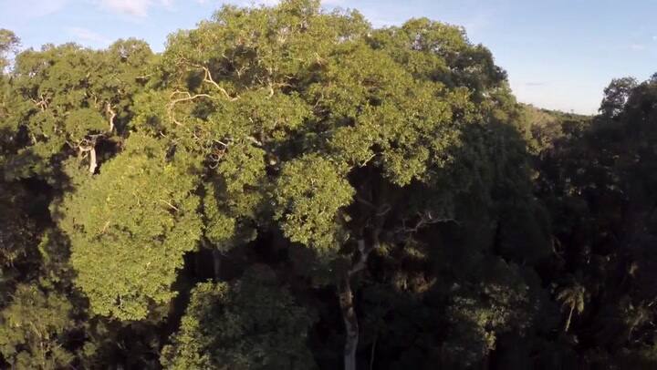 Presentación del billete de 500 pesos