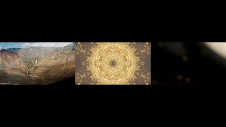 “Patron Mono”, videoinstalación de Carolina Caycedo