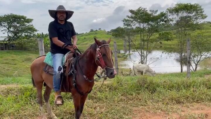 Así se dirigió Higuita a las FARC y el ELN