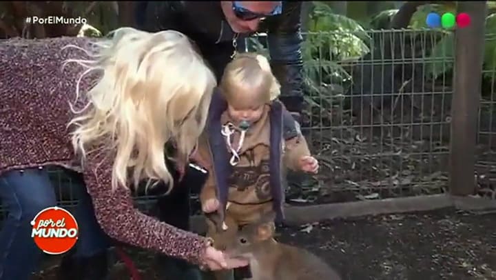 Mirko conoció a un canguro bebe - Fuente: Telefé