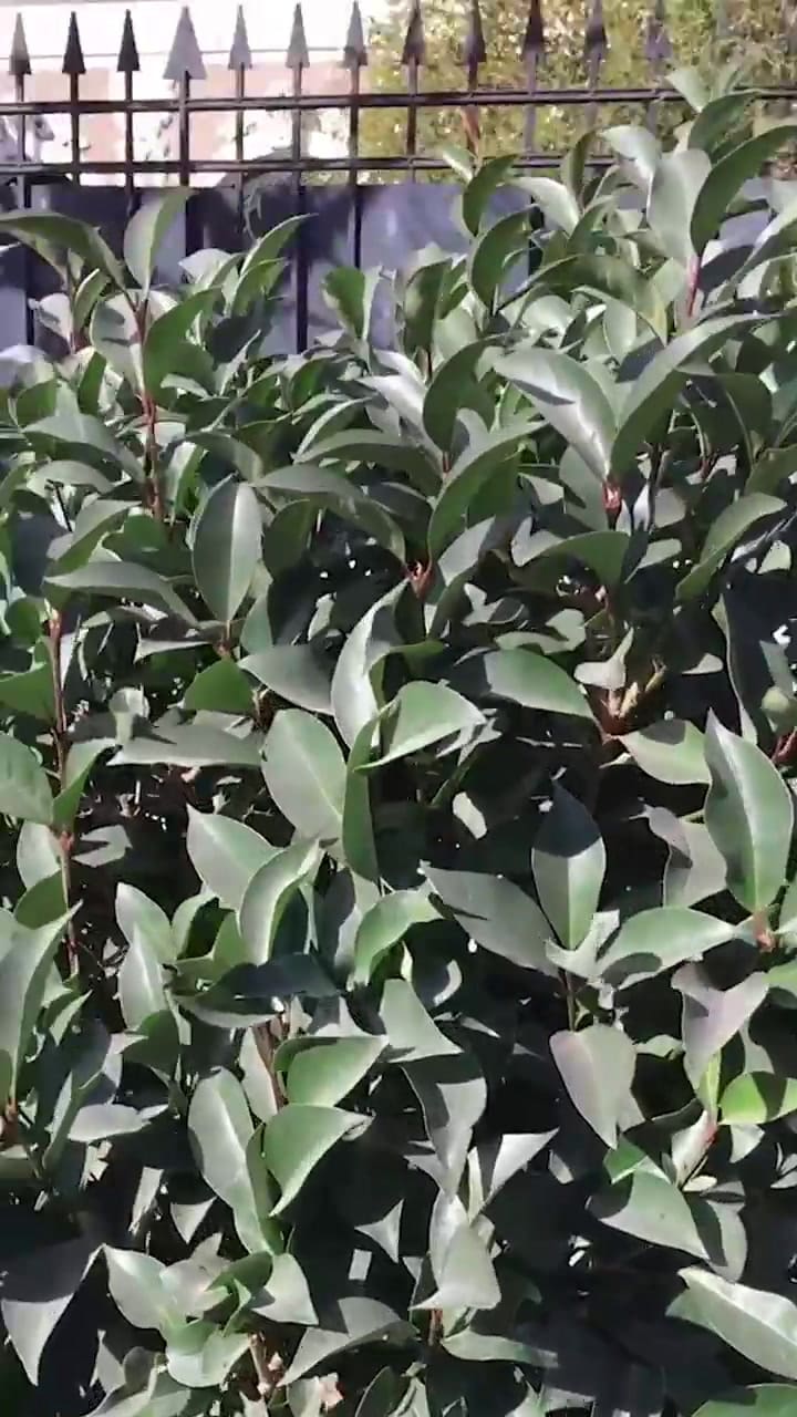 Casa Casados con hijos