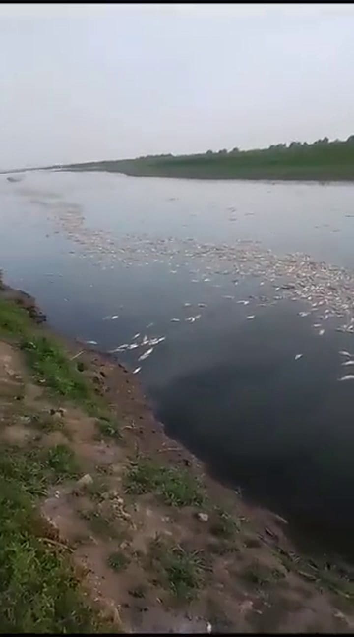 Ssstwitter.com 1700149111348