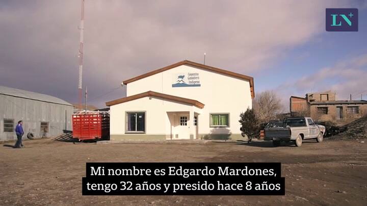 Cómo hacen las cooperativas de la Patagonia para salir adelante