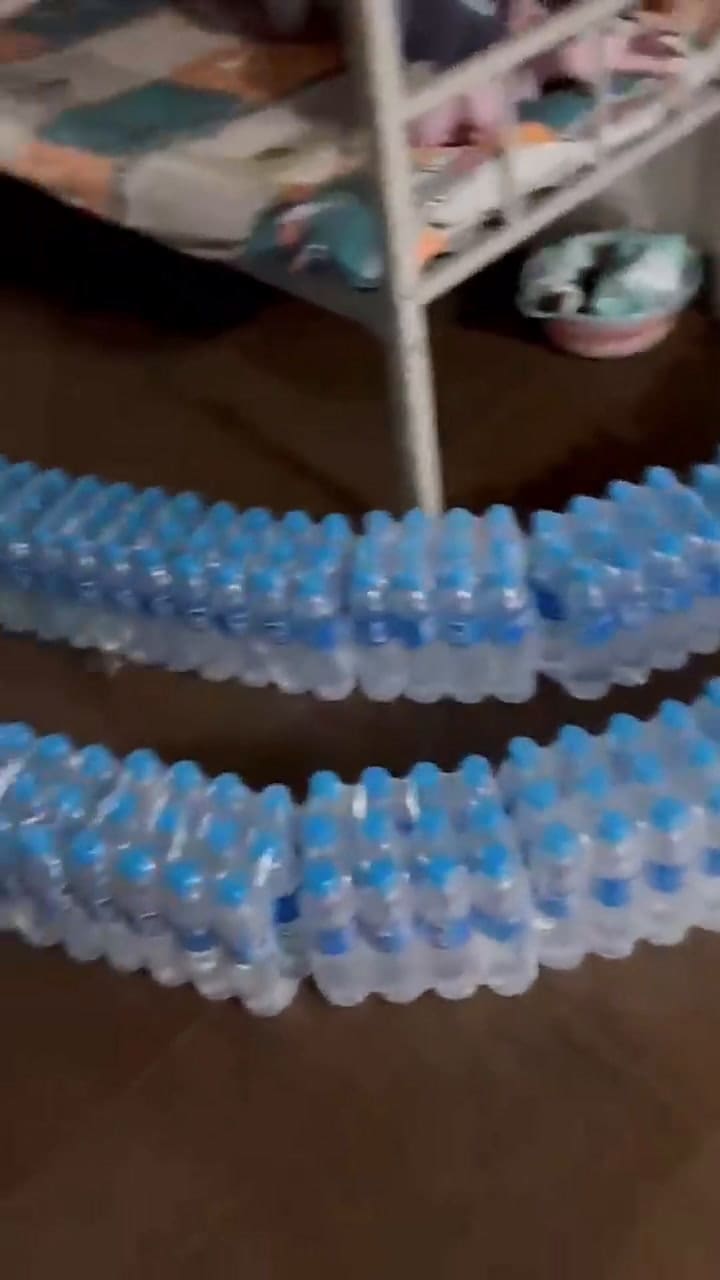 Una mujer utilizó su truco infalible para expular ratones de su casa