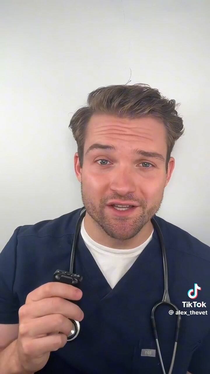 por qué estas cinco razas de perro no son recomendables para tener