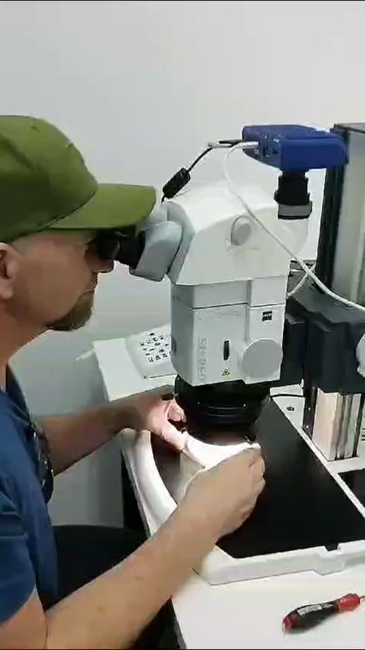 Hallan una flor de 1000 años en Buenos Aires
