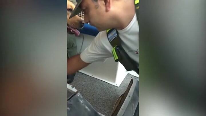 Narco ambulancia': Secuestraron 400 kilos de marihuana simulados entre elementos de atención médica