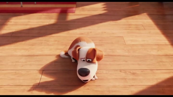 La Vida Secreta de tus Mascotas - Trailer