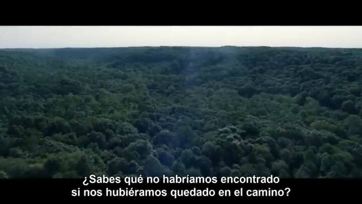 Camino hacia el terror, tráiler