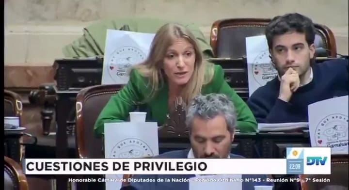 La pelea entre Florencia Carignano y diputadas libertarias