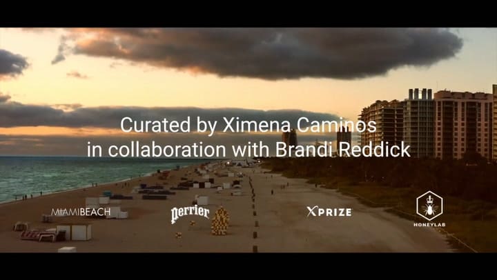 Order Of Importance Leandro Erlich