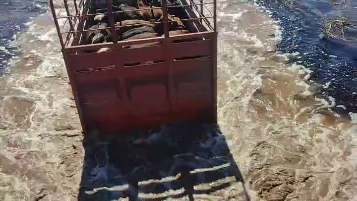 Camino convertido en río y un tractor que intenta avanzar donde ya no hay paso