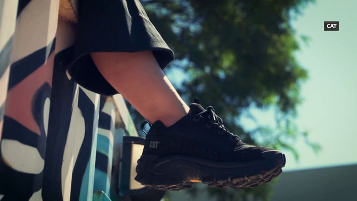 Ln Cat Web 02 Graph1