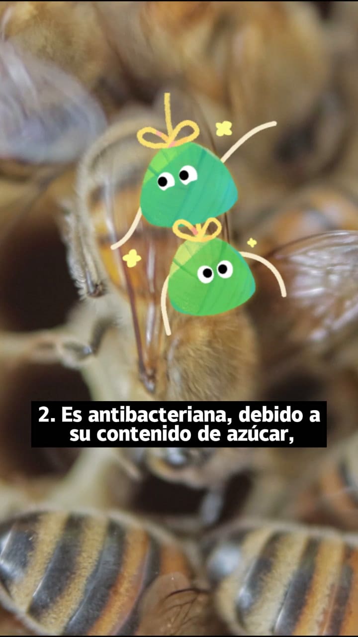 Beneficios de la miel