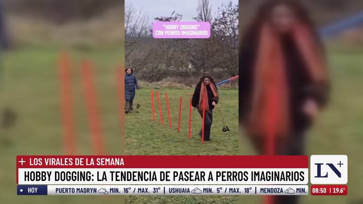 Hobby Dogging en LN+