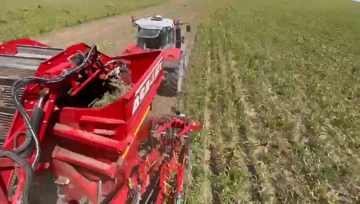 La apuesta de Pablo Ríos en la Patagonia