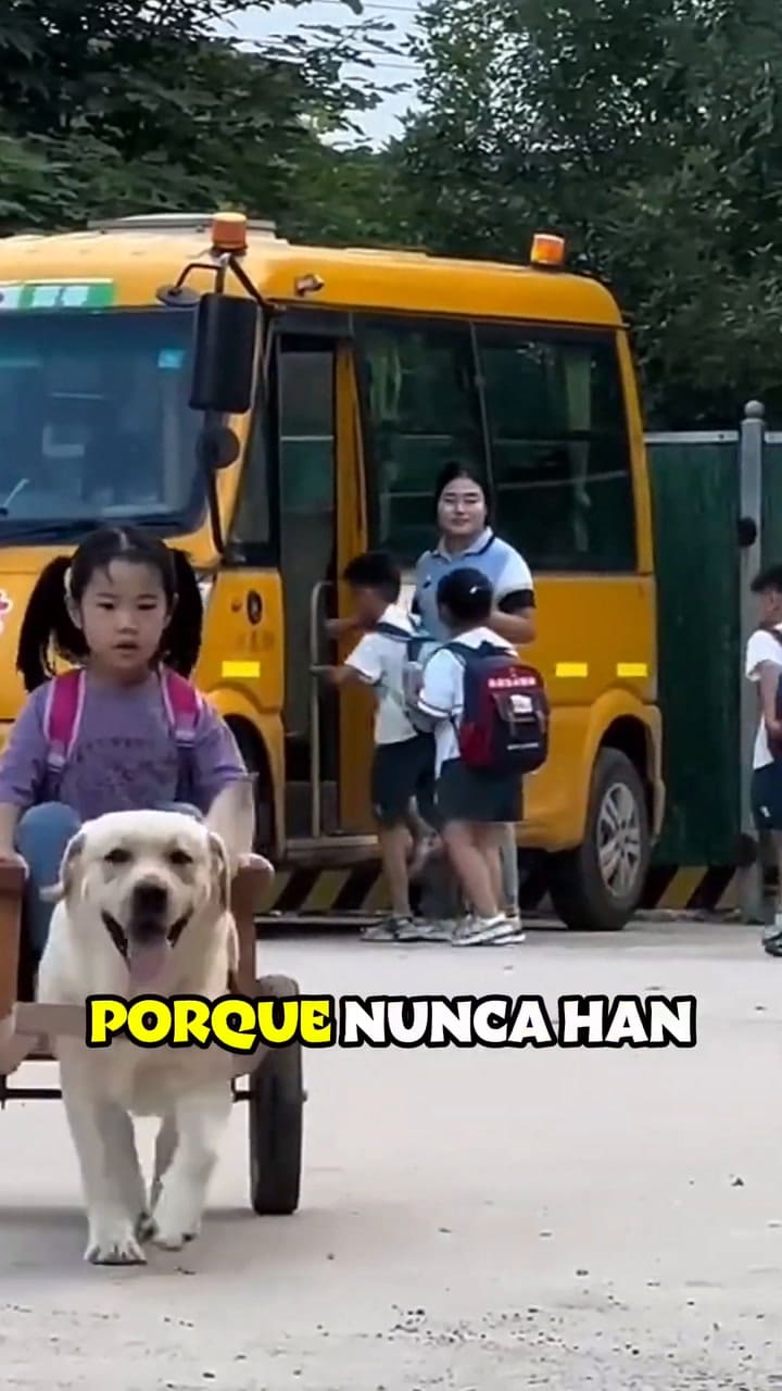 Perro lleva a una niña en un carro hasta su casa