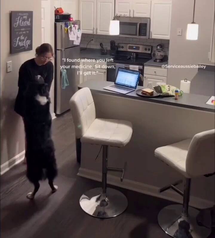 Mostró como su perro la asistió cuando se descompensó