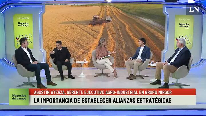 Ayerza, Ger. Ejec. Agro-indus. Grupo Mirgor Hay Mucho Espacio Para La Industrialización Del Agro
