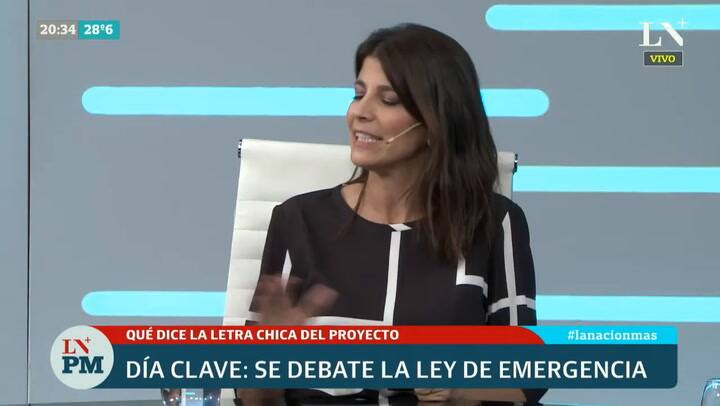 La letra chica de la ley de emergencia económica