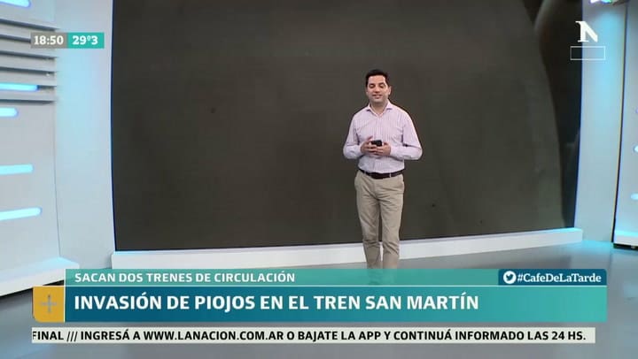 Invasión de piojos de paloma en el tren San Martín