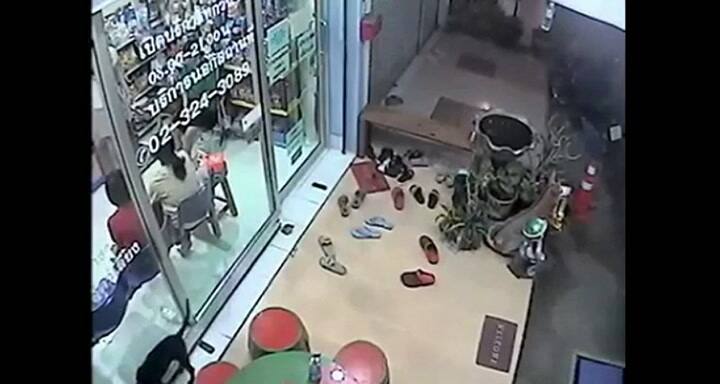 Video: un cachorro 'pidió ayuda' en su veterinaria tras haberse perdido
