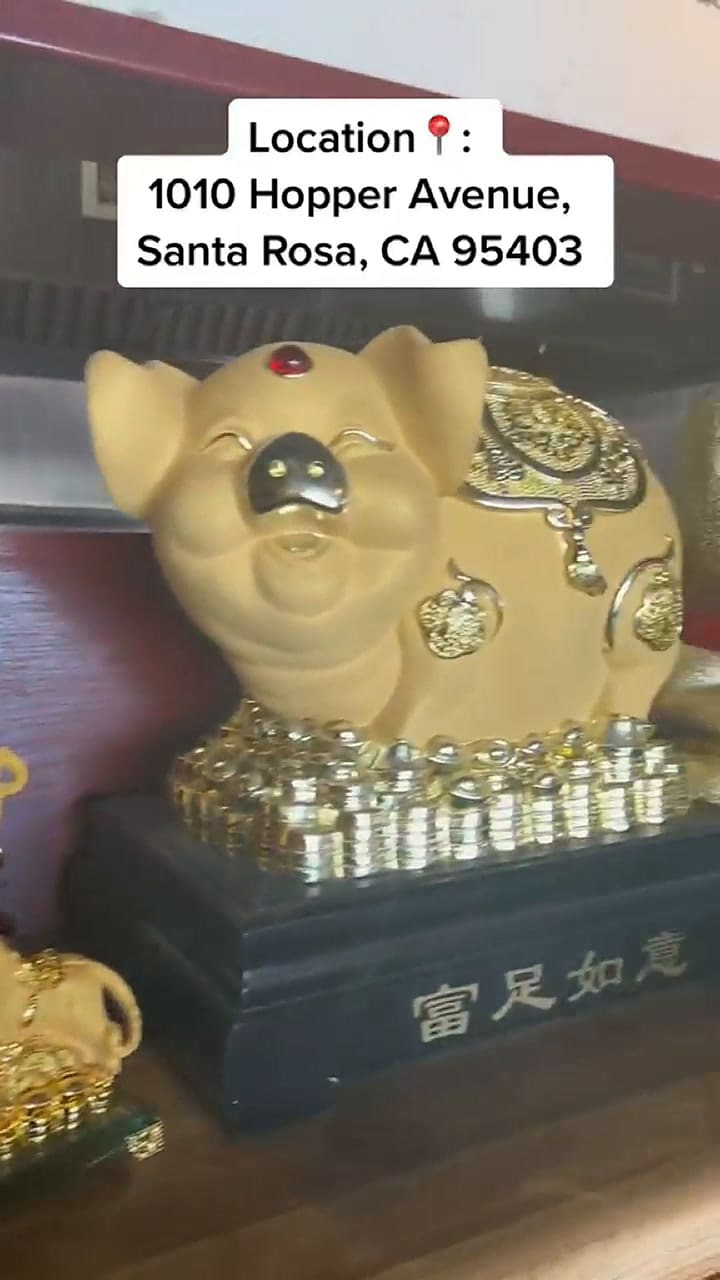 Después de hacerse viral, la joven agradeció por el apoyo de miles de usuarios en TikTok