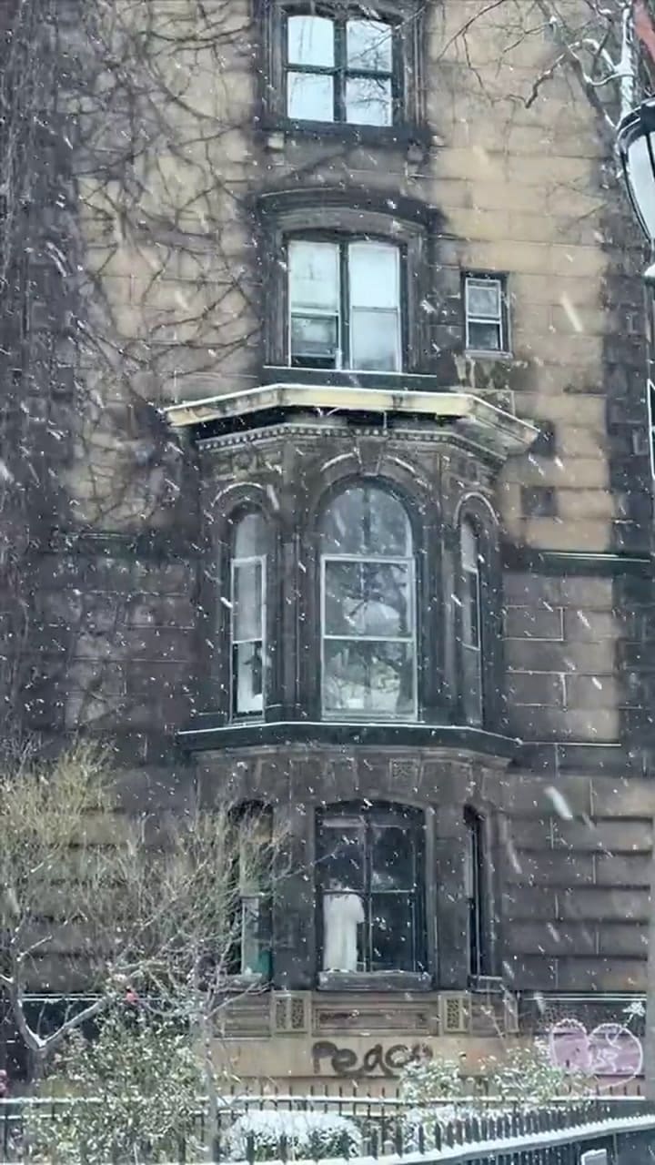 La nieve llegó a Nueva York y rompió la racha de dos años de sequía