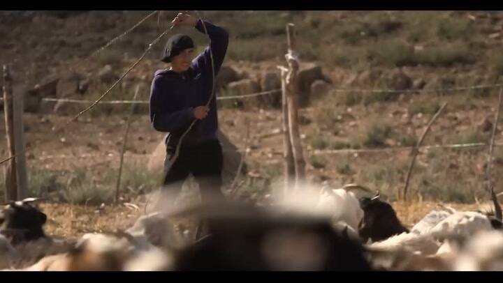 Hambre De Futuro Desarrollo Local La Lucha Y Los Sueños De Las Familias Más Olvidadas