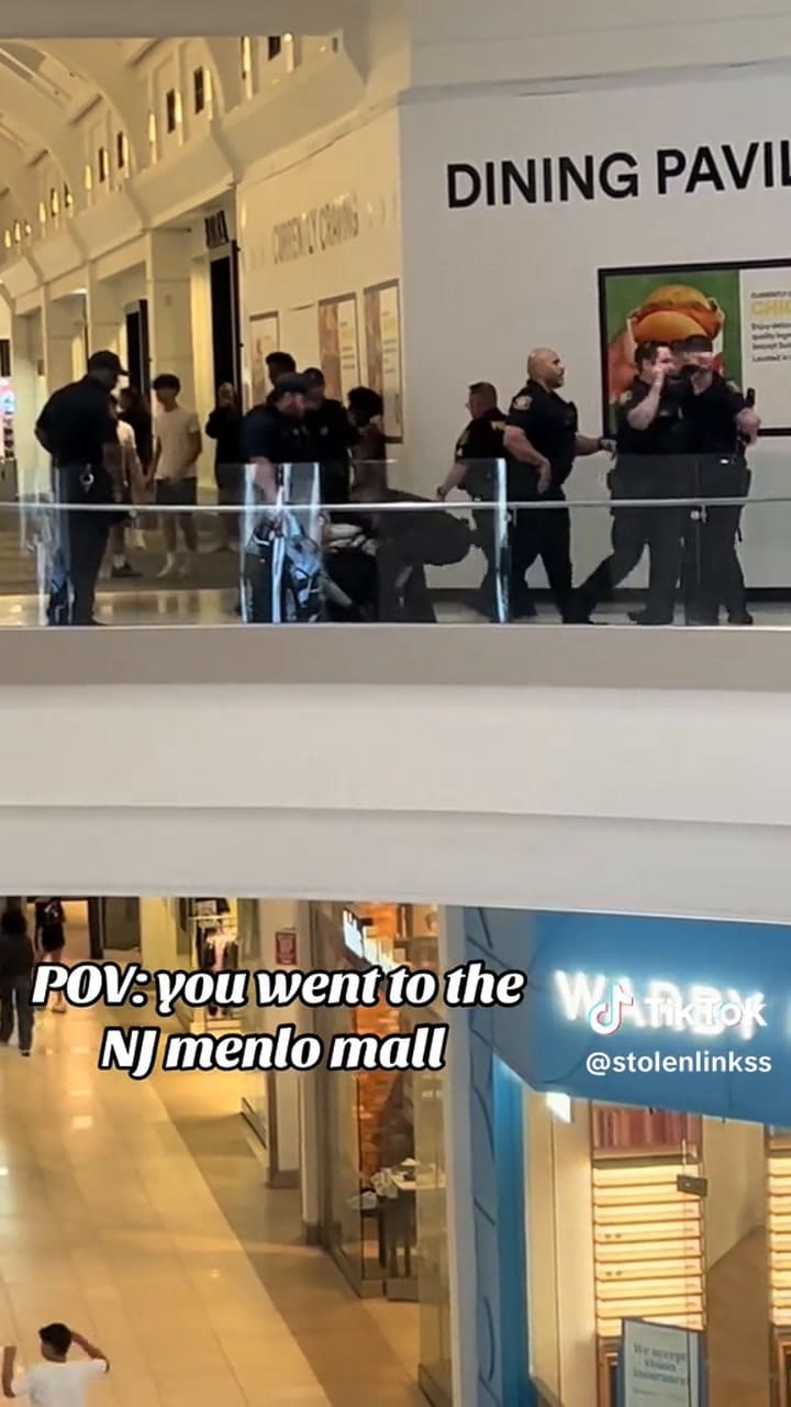 Nueva Jersey: así fue como cientos de jóvenes irrumpieron en un centro comercial y siete personas fueron detenidas