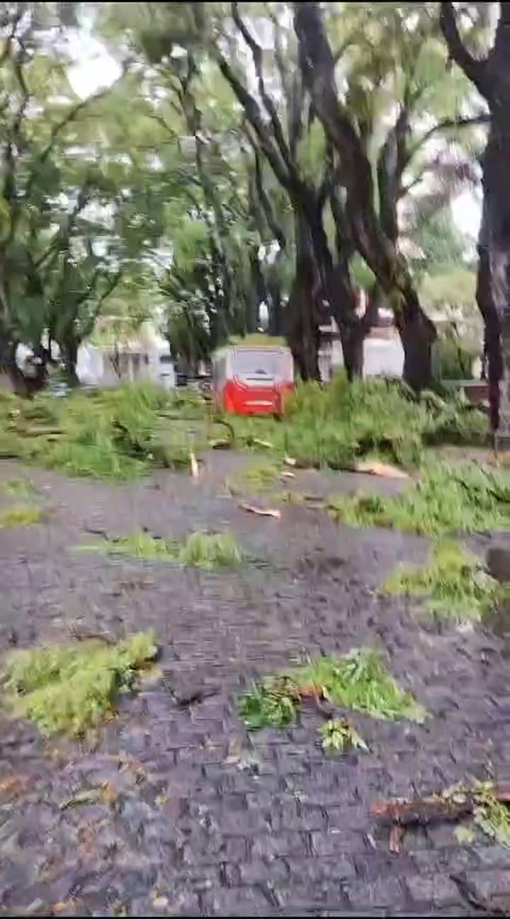 Los destrozos en avenida Melián, en Belgrano R