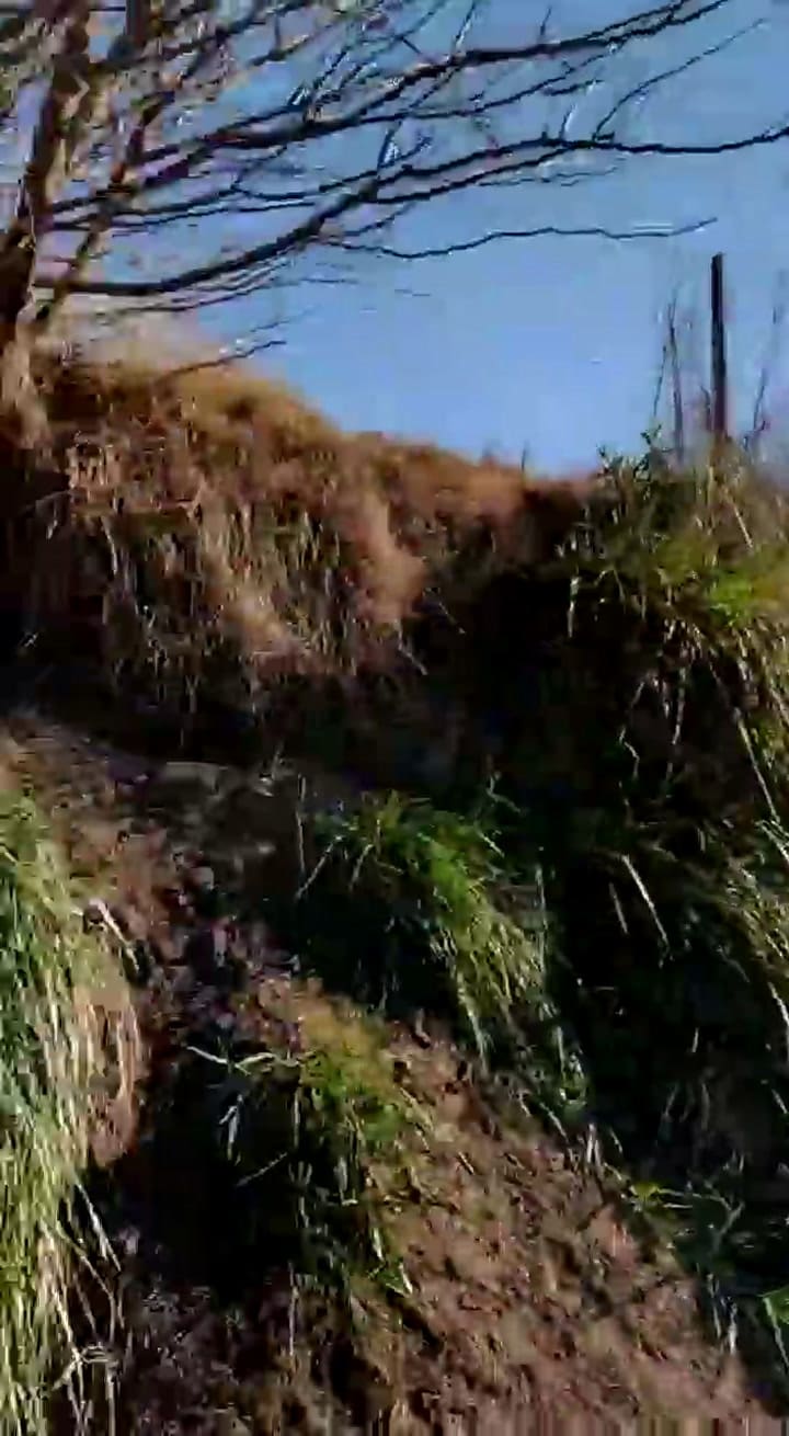 Agujeros de peludos en los lugares más insólitos