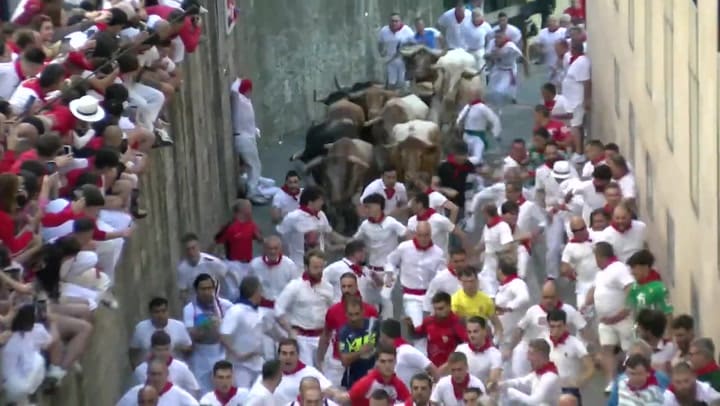 Encierro de la Fiesta de San Fermín