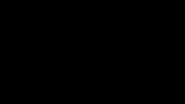 Goliat, el buey más grande del mundo