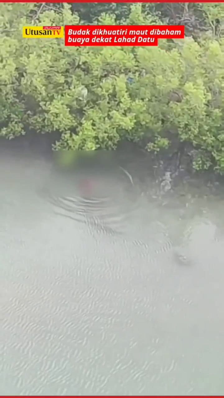 Un niño y su padre fueron atacados por cocodrilos en Malasia