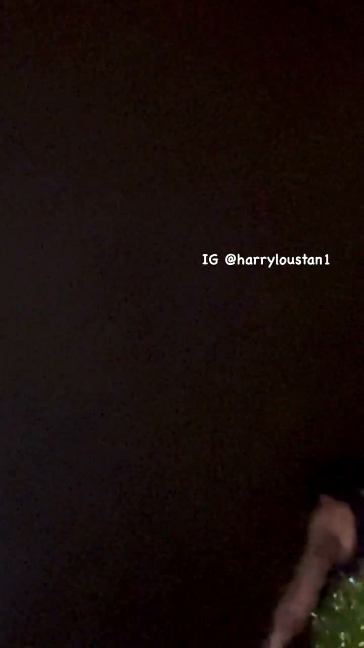 Harry Styles recibe el impacto de un celular en medio de su show en Viena