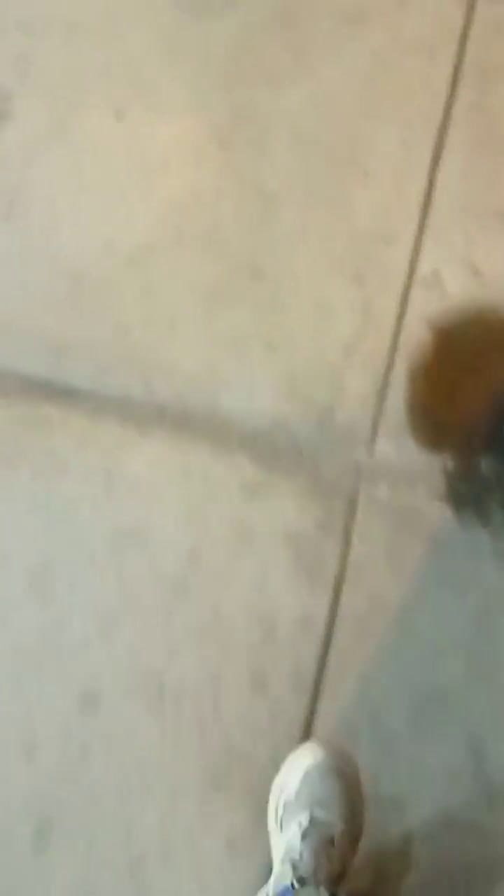 Así fue como un tiktoker encontró el amor en el autobús