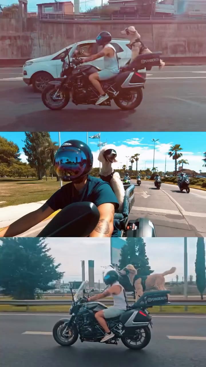 Nahuel Muñoz comparte junto a sus perros varios viajes en moto a lo largo de todo el país
