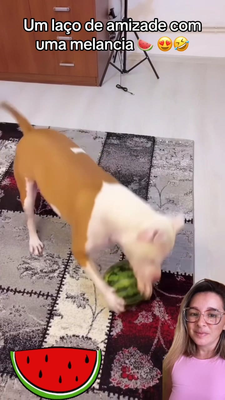 La historia viral de cómo un perro y una sandía se volvieron mejores amigos