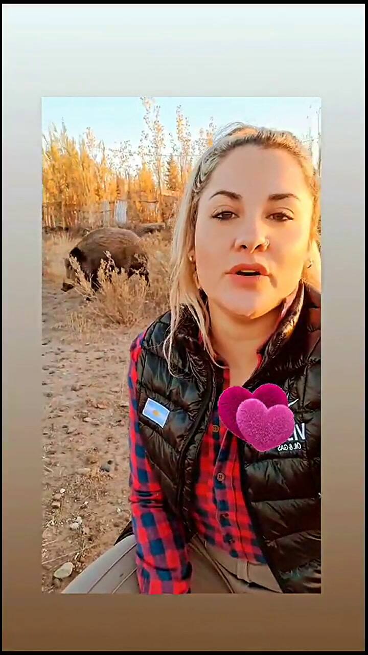Tiene un jabalí como mascota y su historia se hizo viral
